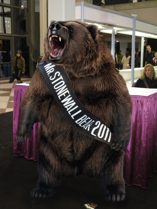 Illustration for article titled Bear Hunt Winners